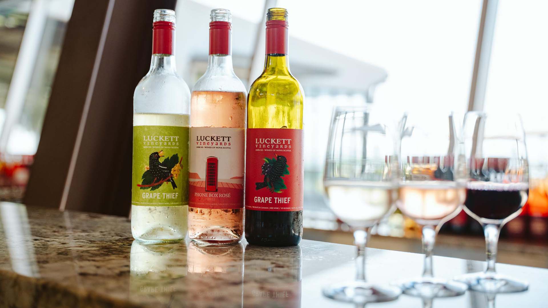 Wine & Vine Tours