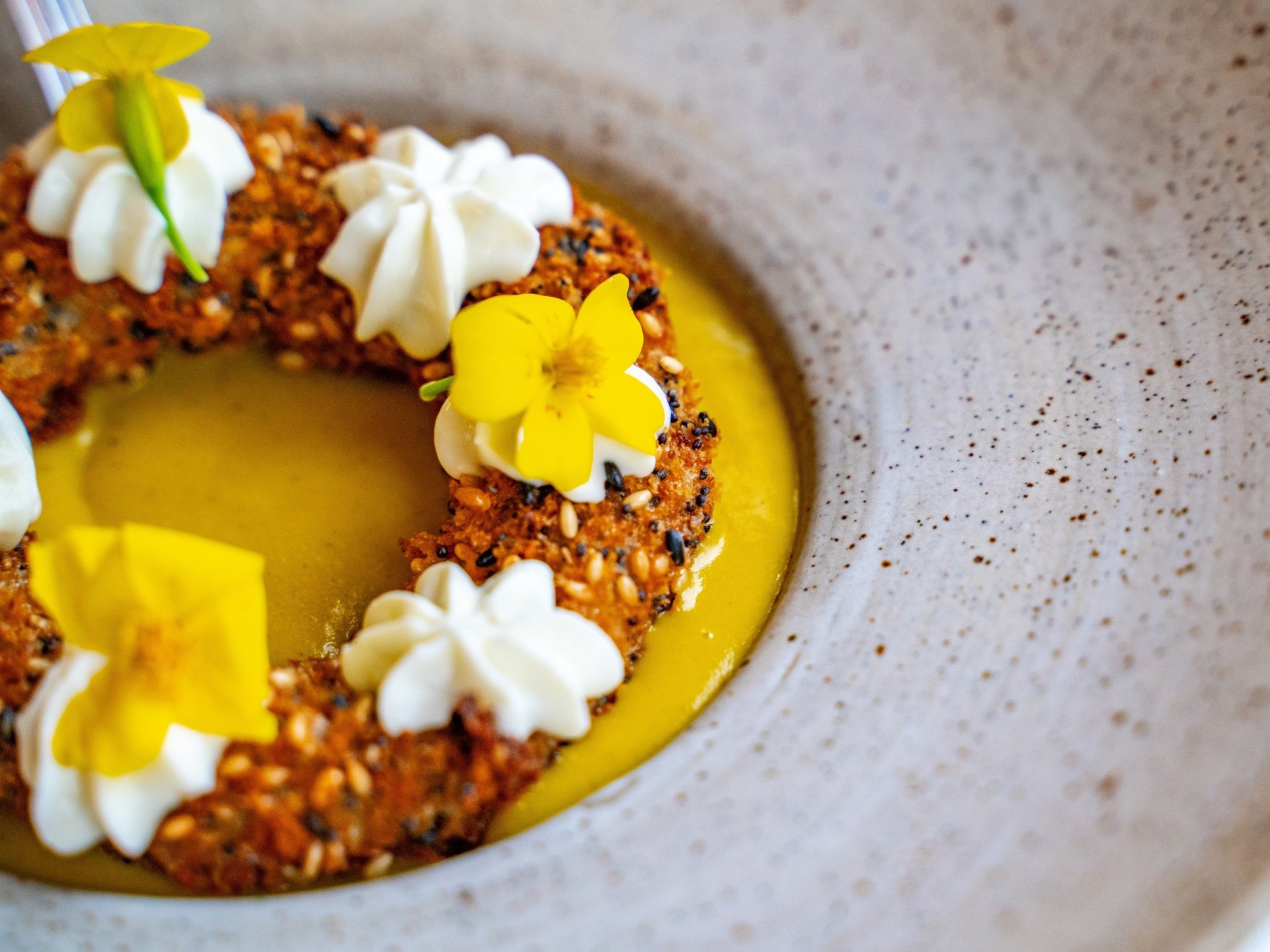 A close up shot of a gourmet soup from Wild Caraway Restaurant