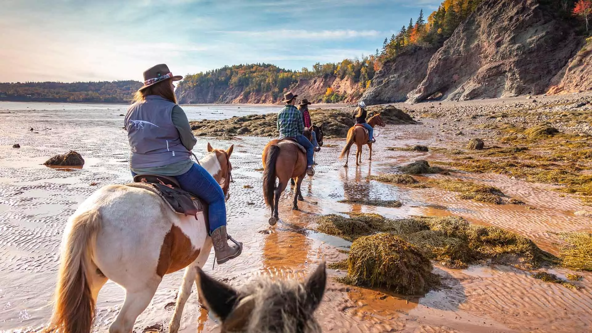Spirit Reins Horseback Fundy